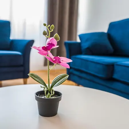 Nice Apartment